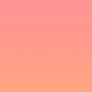 Meet your Posher, Kira